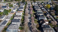 B.C. home sales flat in August as Realtors hope for market improvement